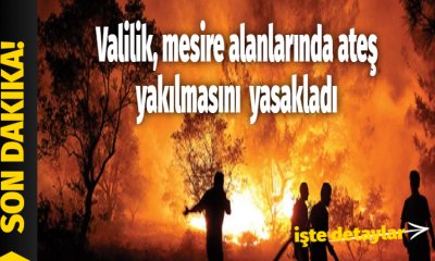 Bursa’da ormanlara girişler 1 Ekim tarihine kadar yasaklandı